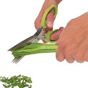 MULTIFUNCTION VEGETABLE STAINLESS STEEL HERBS SCISSOR WITH 5 BLADES